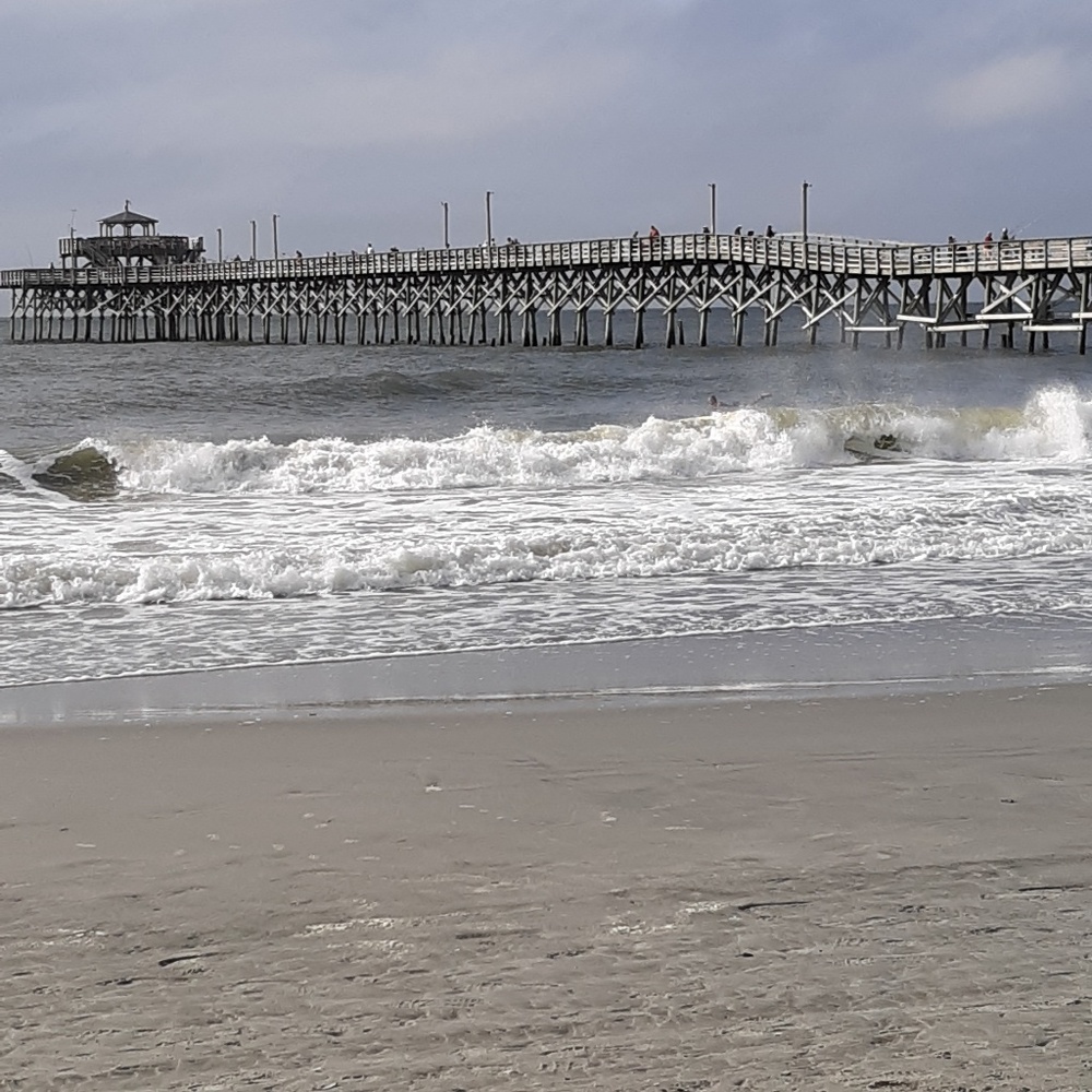 Meet your Posher, Temeka